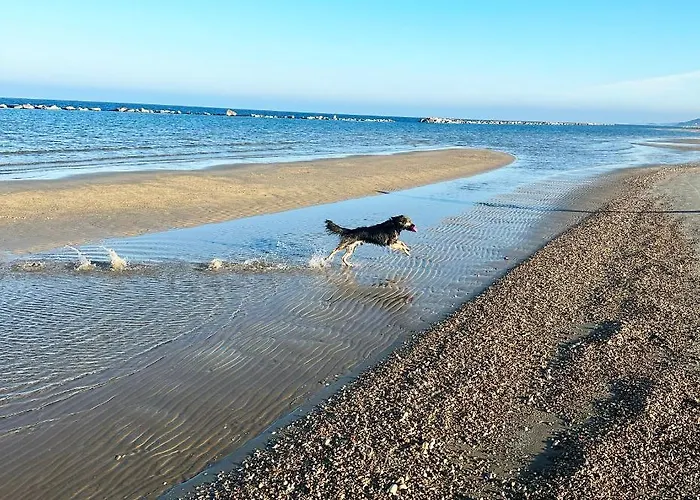 Apartament La Vigna Di Ranco